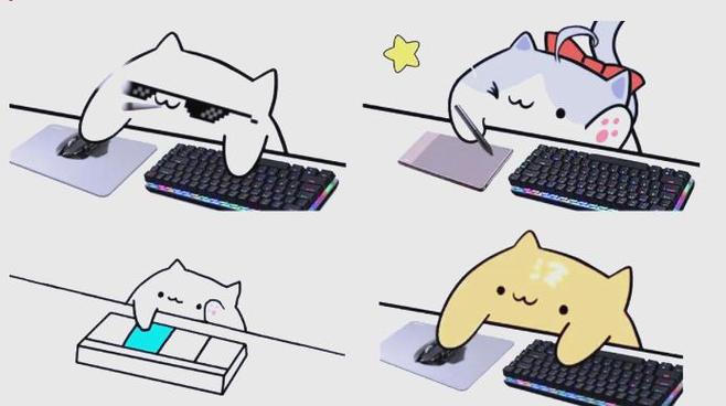 某猫是什么app缩略图