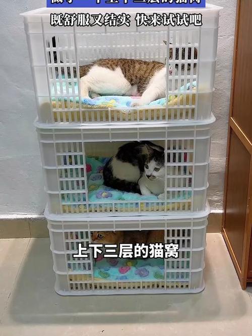 自制最简单的猫窝缩略图