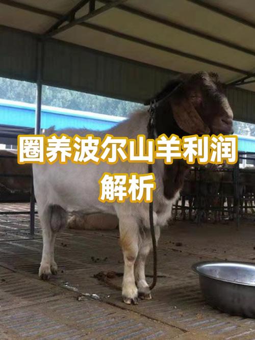 纯圈养山羊有利润吗缩略图