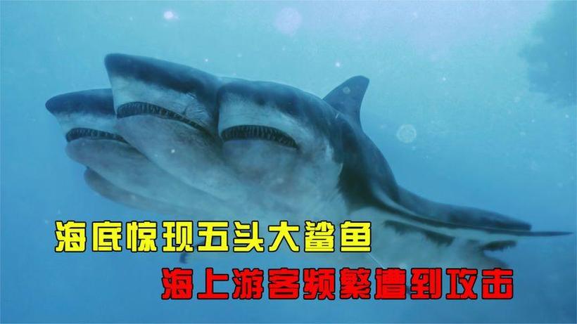 鲨鱼影视网页版缩略图