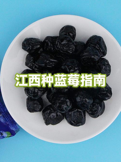 六种人不宜吃蓝莓缩略图