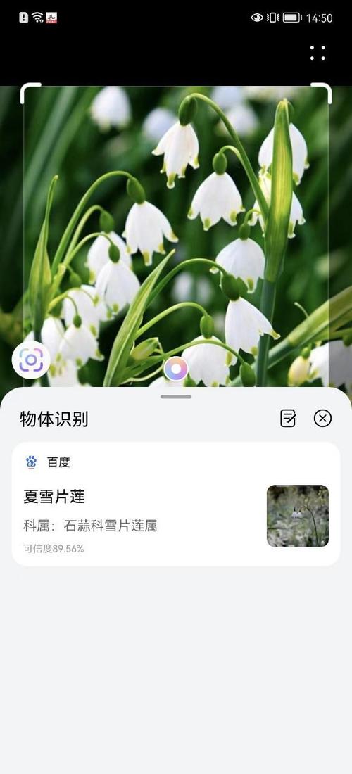 免费版扫描软件缩略图