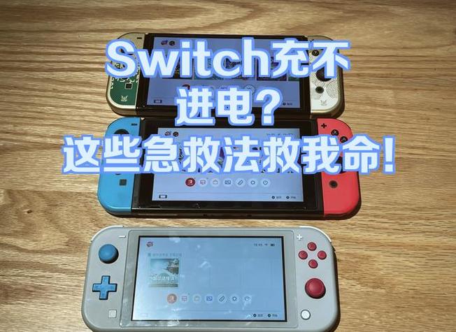 switch很久没开机要充多久电游戏截图