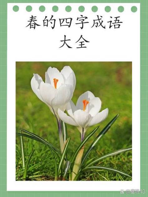 赞美春花的诗句缩略图
