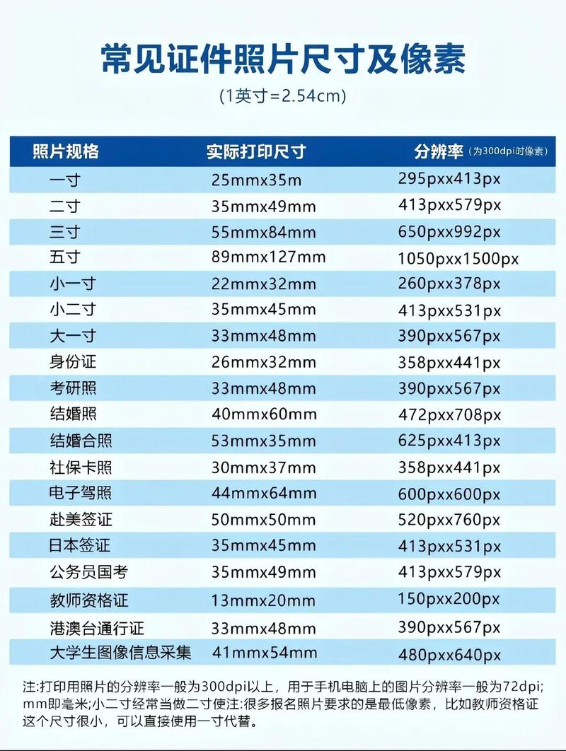 各类证件照尺寸规格游戏截图