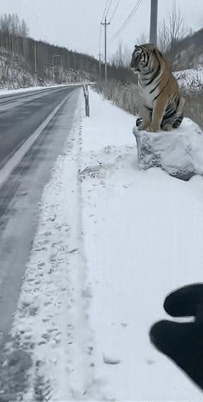 granny3雪天模组游戏截图
