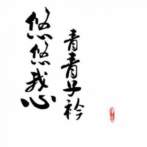 悠悠我心缩略图