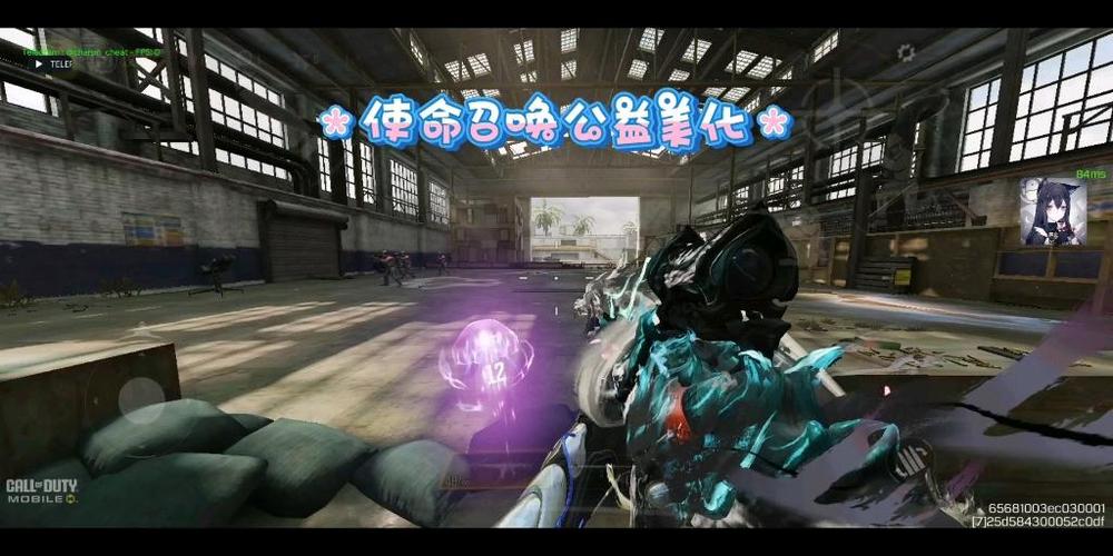 使命召唤全皮肤美化包缩略图