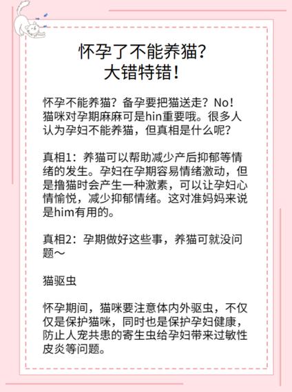 怀孕了能养猫吗缩略图