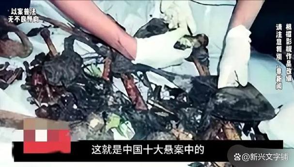 中国十大悬疑未解悬案缩略图