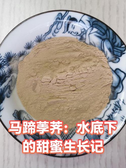 边境之旅马蹄图标