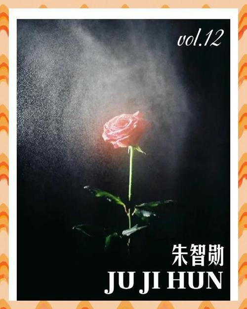 花flower电影在线观看缩略图