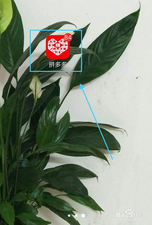 新版拼多多下载缩略图