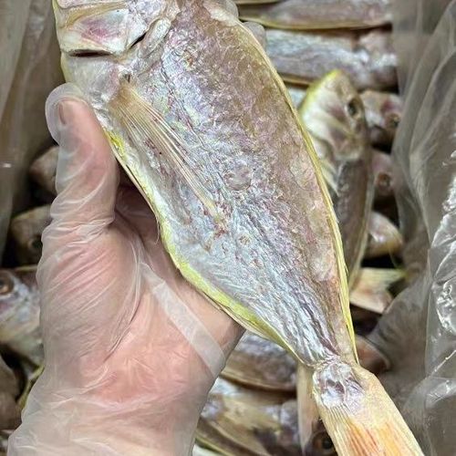 咸鱼之王深海3必过阵容缩略图