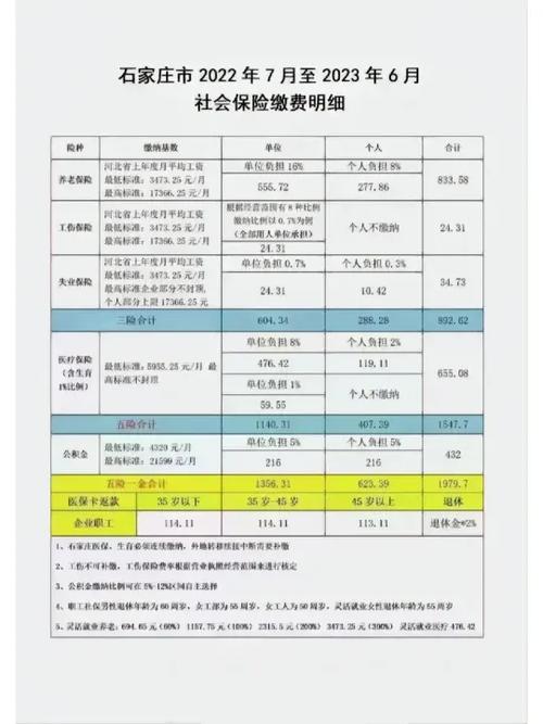 河北税务社保缴费缩略图