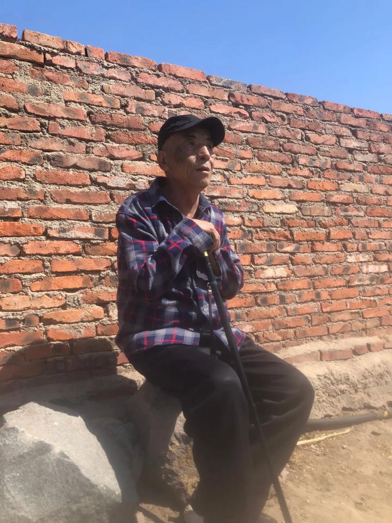 山村逍遥小农民缩略图