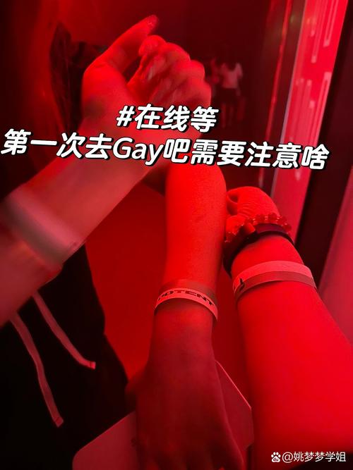 同志交友软件gala游戏截图