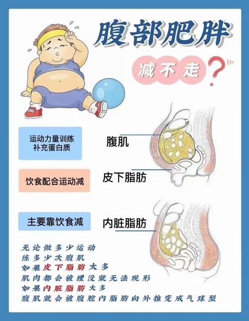 去内脏脂肪的最好方法缩略图