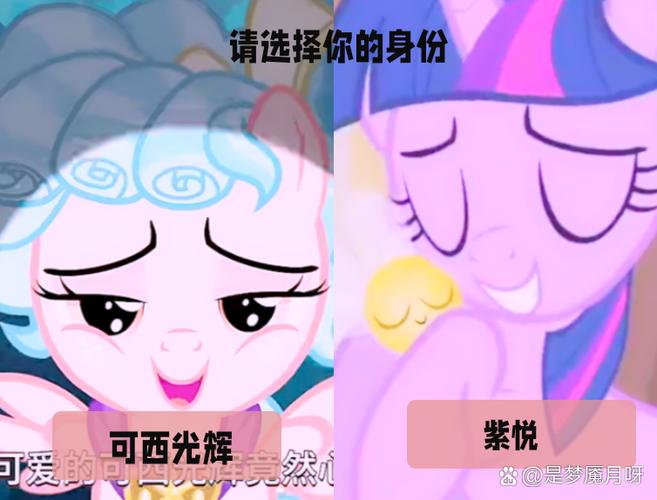 小马搜题网页版缩略图