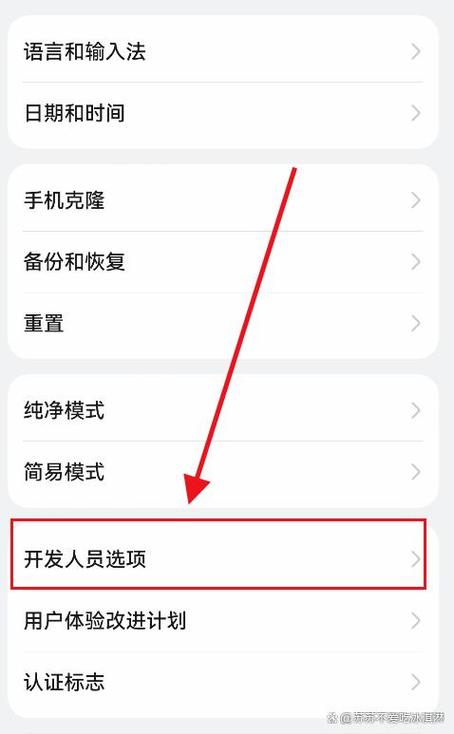 荣耀手机开启开发者选项游戏截图