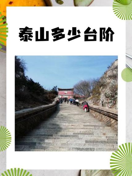 泰山小说网站入口缩略图