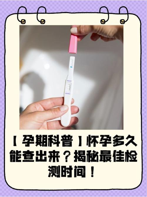 验孕棒怎么看是否怀孕缩略图