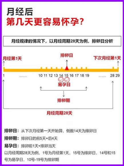 大姨妈走后第几天容易怀孕缩略图