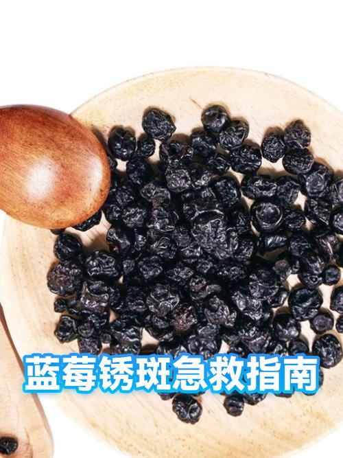 蓝莓会过敏吗缩略图