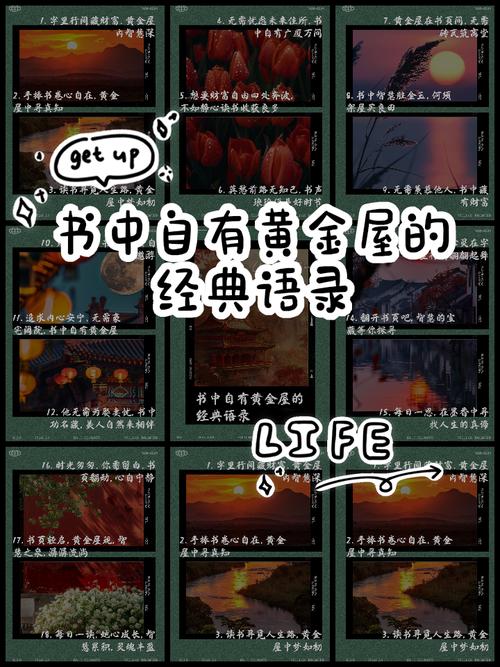黄金书屋小说免费阅读缩略图