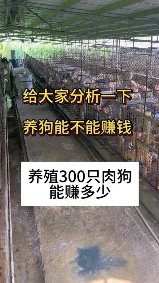 肉狗养殖挣钱吗游戏截图