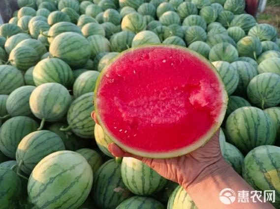 西瓜视频怎么免广告缩略图