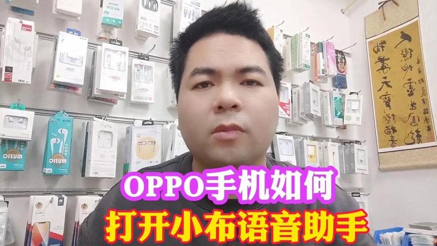 oppo智能语音小布游戏截图