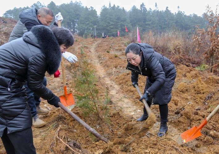 红领军植树游戏截图