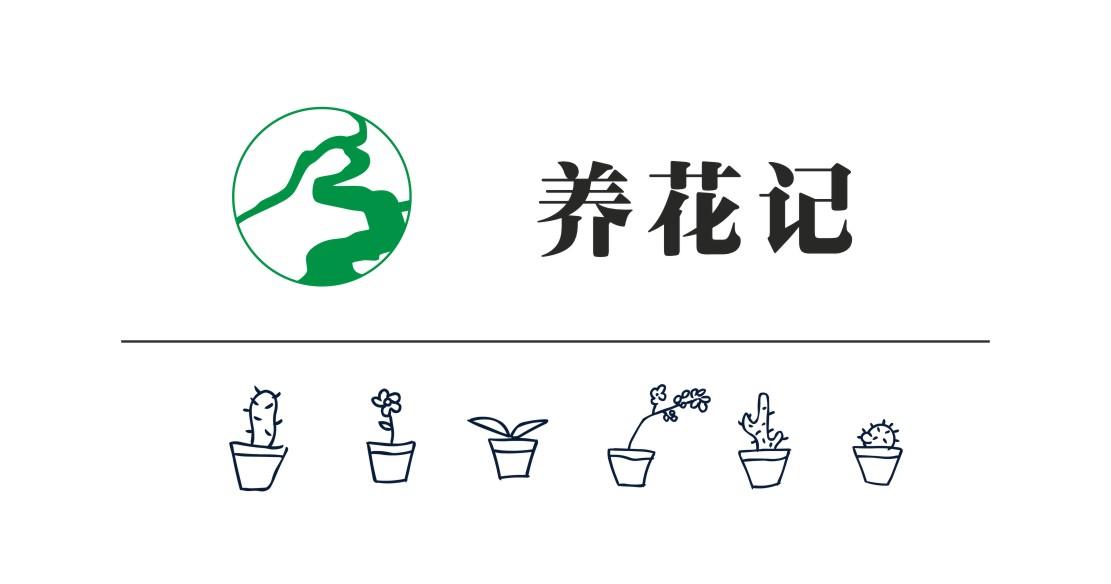 养花赚钱APP缩略图