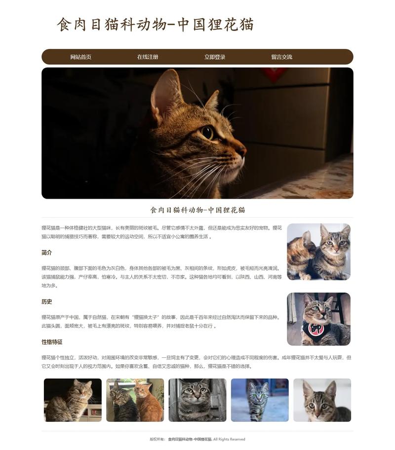 懒猫网页版直接进入缩略图