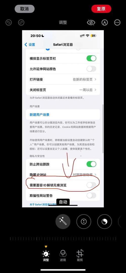 ipad怎么关闭无痕浏览缩略图