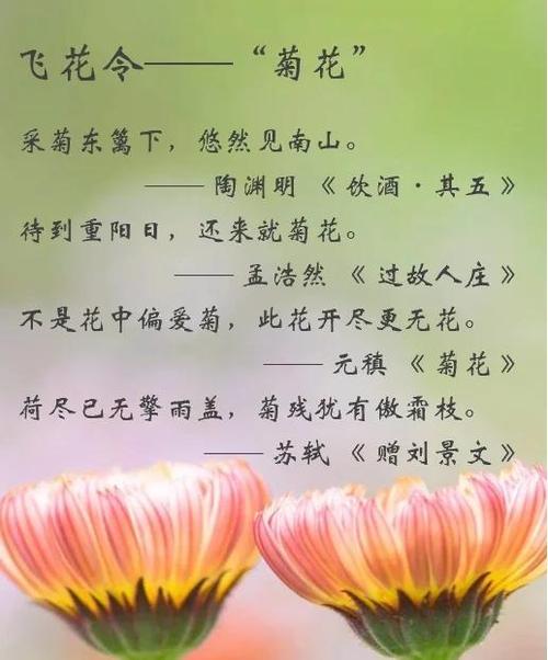 中国诗词大会飞花令题库缩略图