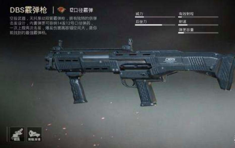 dbs霰弹枪有这把枪吗缩略图