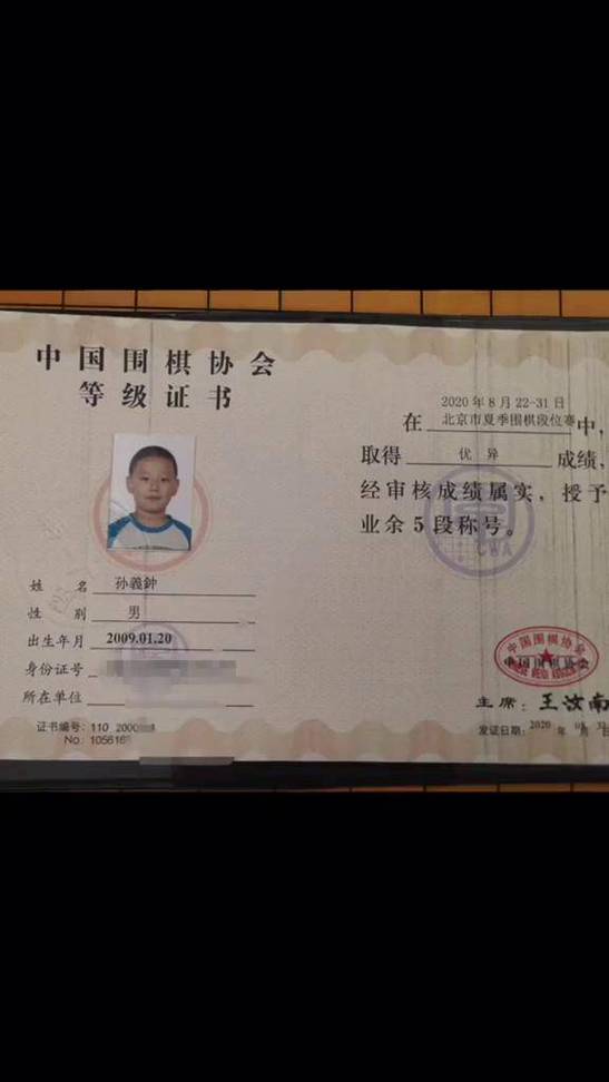 中国围棋协会等级证书查询缩略图