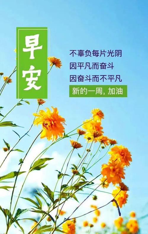 早上好经典语录100句缩略图