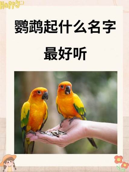 鹦鹉名字大全缩略图