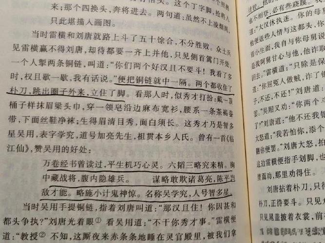 《水浒传》白话文阅读缩略图
