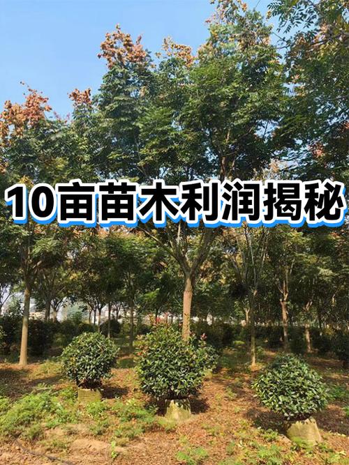 做绿植生意的利润大吗缩略图
