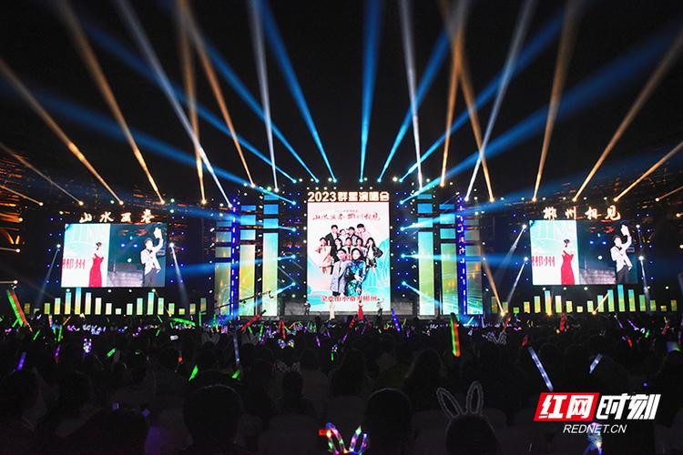 桃源影院网2023年演唱会游戏截图