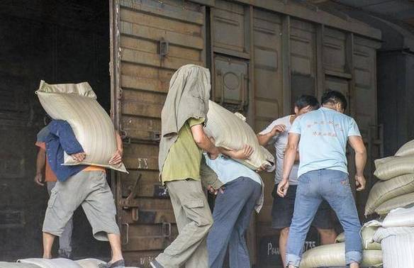搬运工人怎么找图标