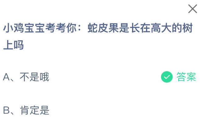 支付宝小鸡答题答案缩略图
