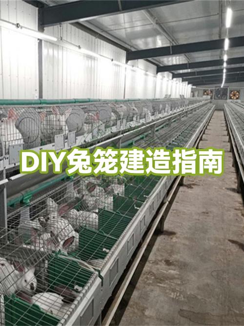 兔子棚的建造图片缩略图