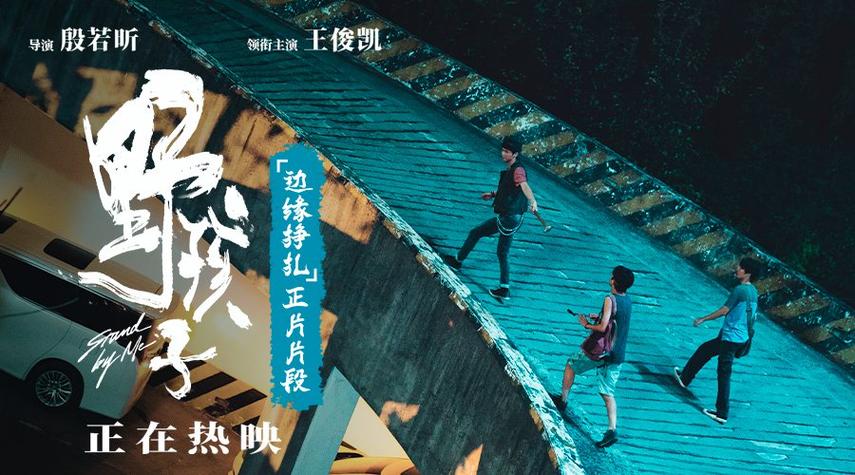 电影野孩子免费观看2024年最新上映