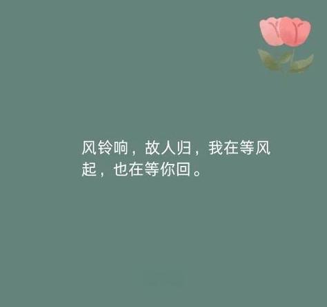 悄悄关注突然不见了缩略图