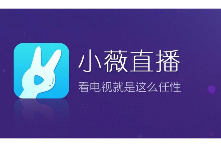 小薇直播TV缩略图